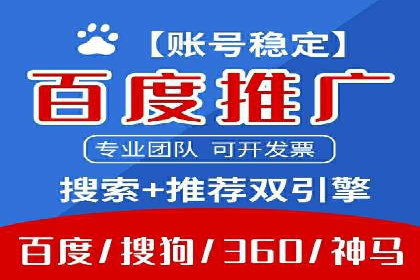 案例分析：SEM推广助力行业竞争突围